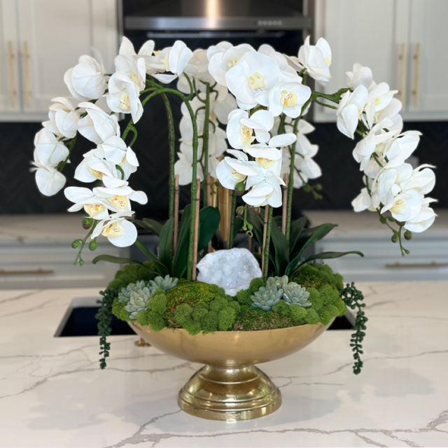 DIY Orchids & Succulents in Bowl Bundle
