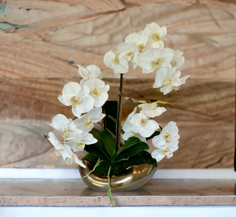 Orchids in Tanis Bowl