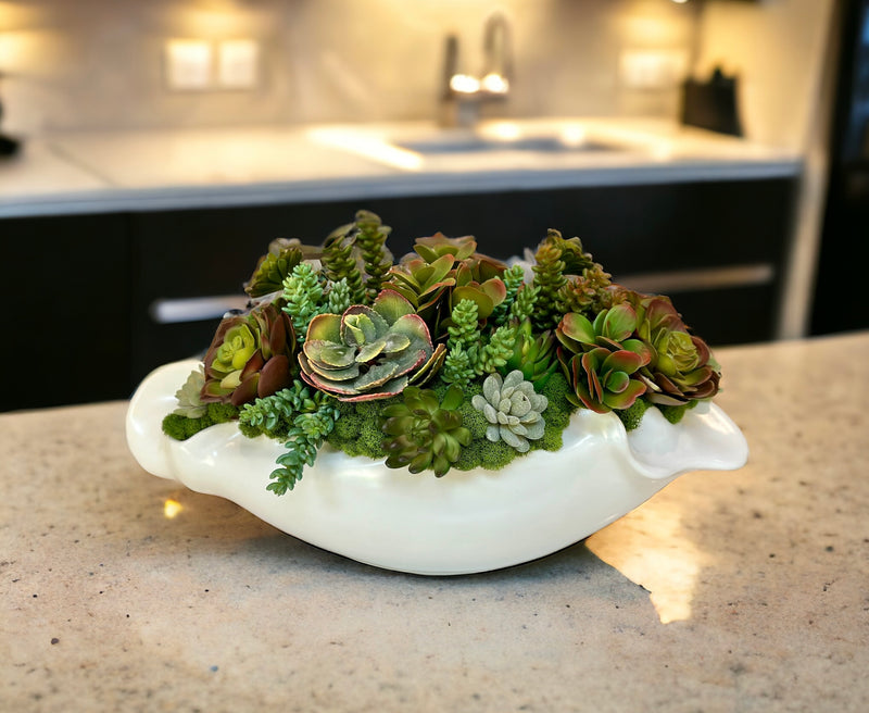 Succulents in Free Form Bowl