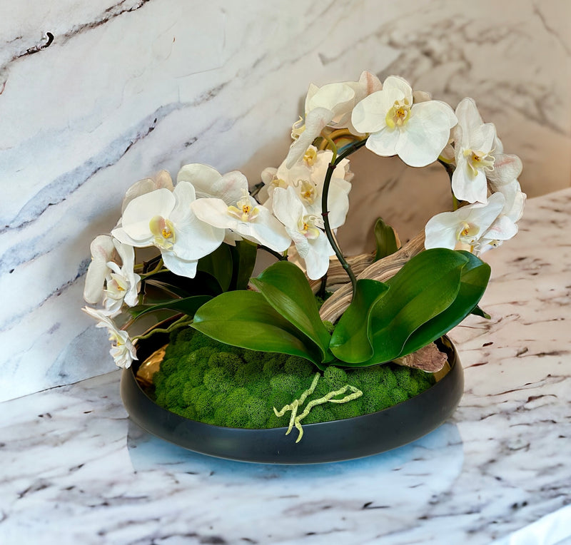 Orchids & Driftwood in Greer Bowl