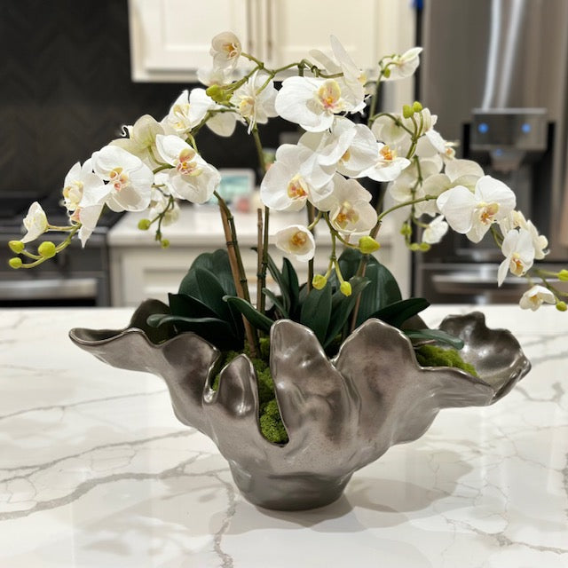 Orchids in Meteor Bowl