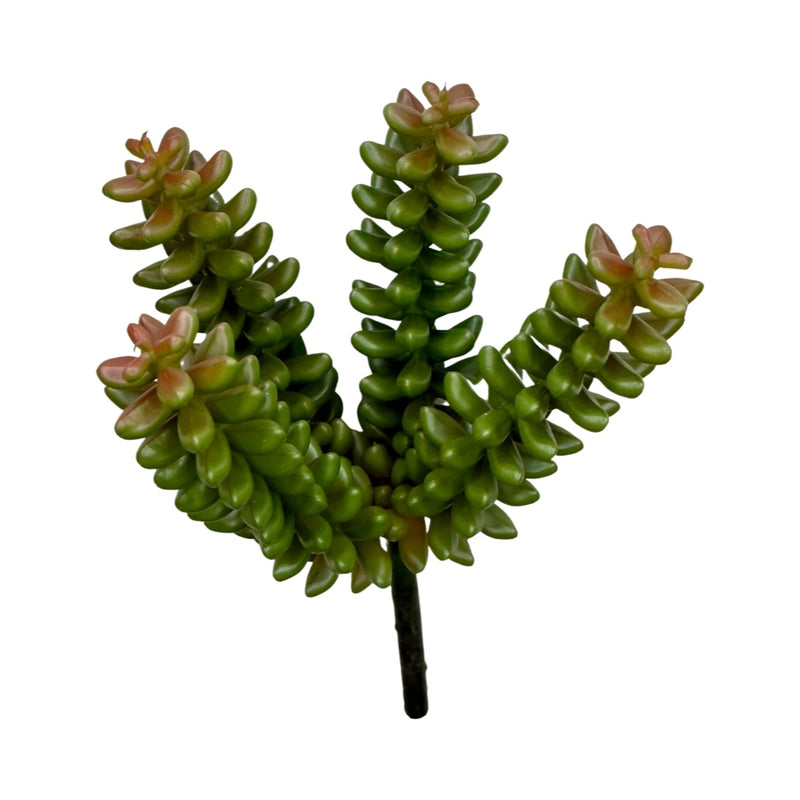Artificial Burro's Tail Succulent Pick