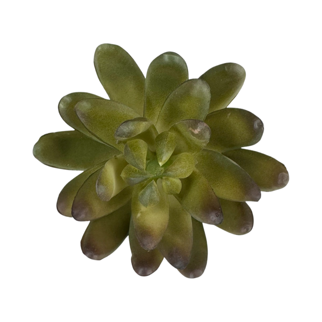 Artificial Echeveria Succulent Pick