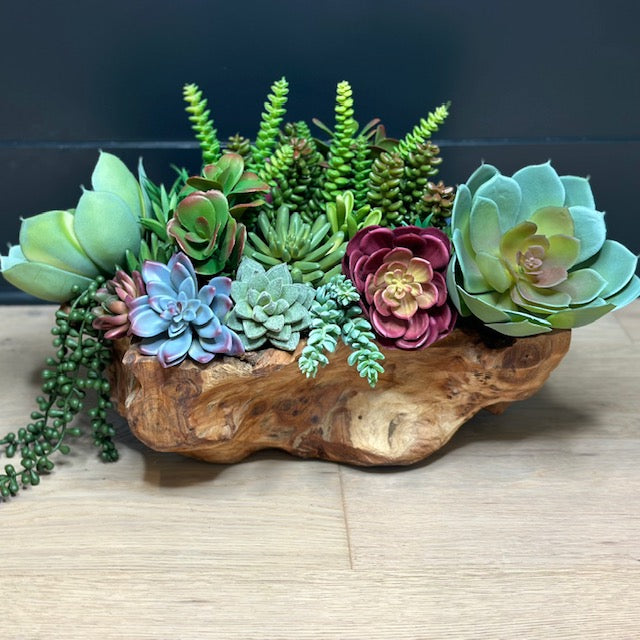 Succulents in Wood Bowl Video Course
