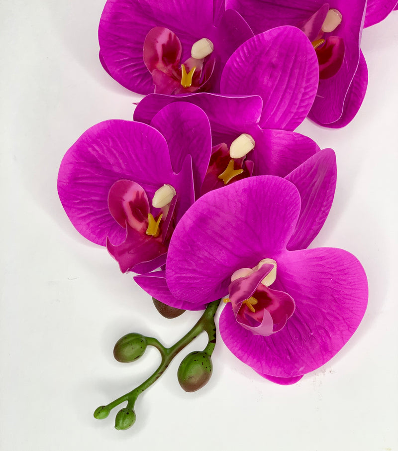 Fuchsia Orchid Stem