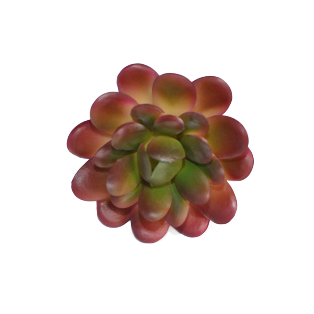 Artificial Pachyphytum Succulent Pick