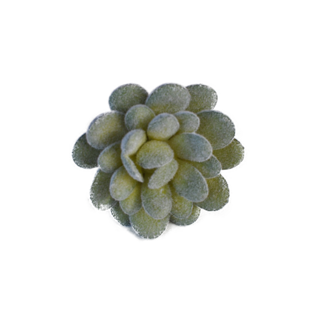 Artificial Velvet Pachyphytum Succulent Pick