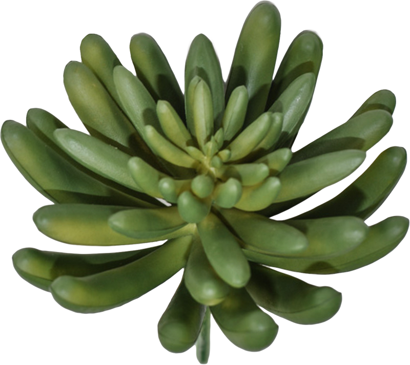 Artificial Spike Aeonium Succulent Pick