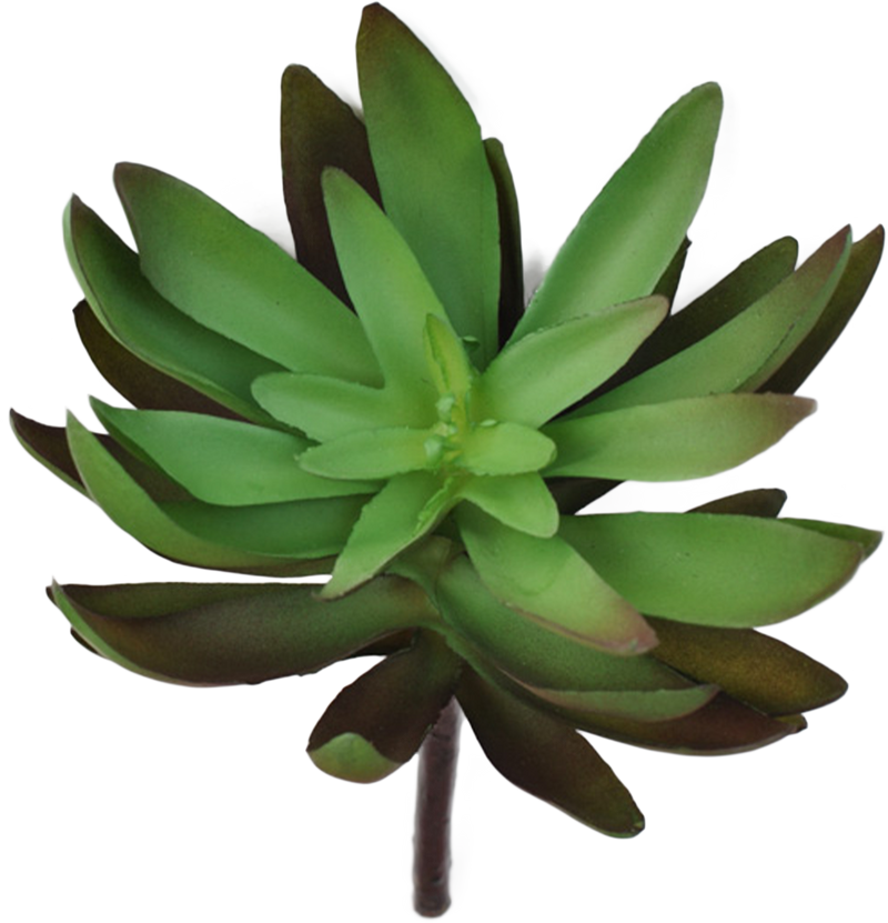 Artificial Dudleya Succulent Pick