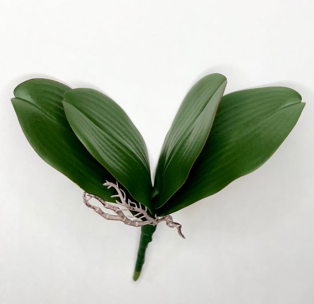 Orchid Leaves Pick