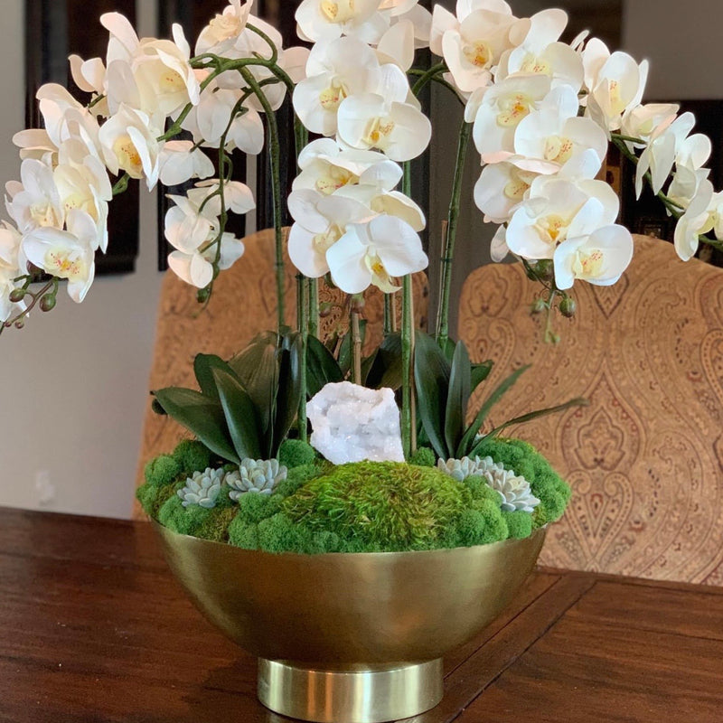 White Orchid Stem
